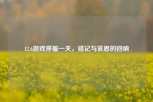 12.6游戏停服一天,铭记与哀思的回响