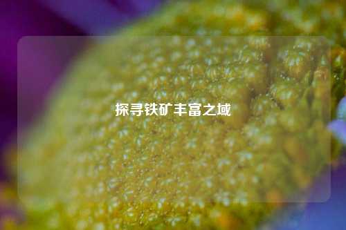 探寻铁矿丰富之域