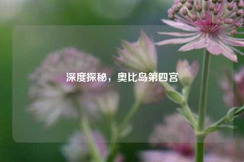 深度探秘,奥比岛第四宫