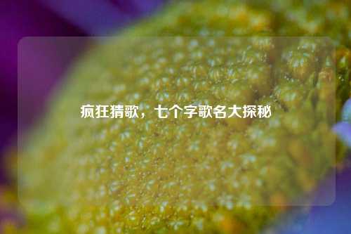 疯狂猜歌,七个字歌名大探秘