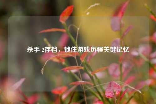 杀手 2存档,锁住游戏历程关键记忆