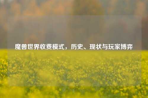 魔兽世界收费模式,历史、现状与玩家博弈