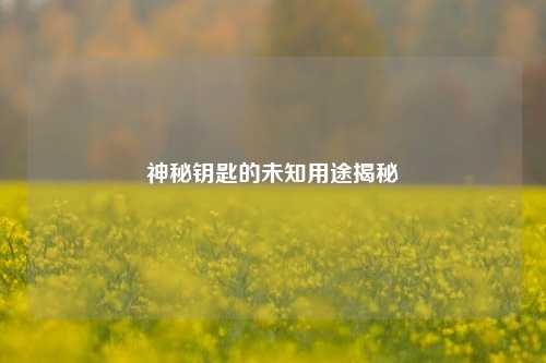 神秘钥匙的未知用途揭秘