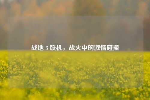 战地 3 联机,战火中的激情碰撞