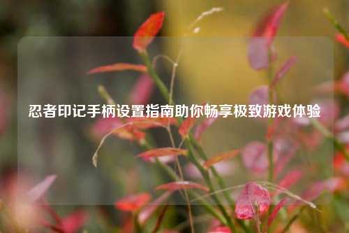 忍者印记手柄设置指南助你畅享极致游戏体验