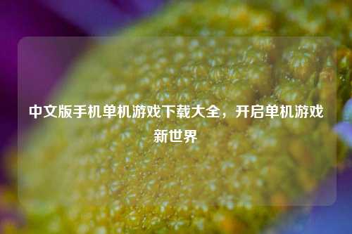 中文版手机单机游戏下载大全,开启单机游戏新世界