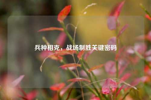 兵种相克，战场制胜关键密码