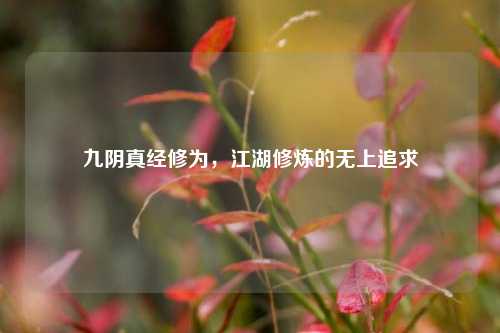 九阴真经修为,江湖修炼的无上追求