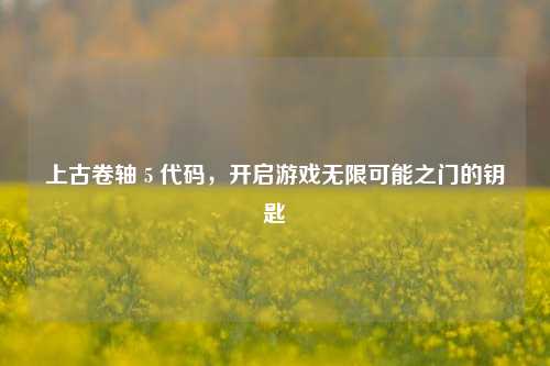 上古卷轴 5 代码，开启游戏无限可能之门的钥匙