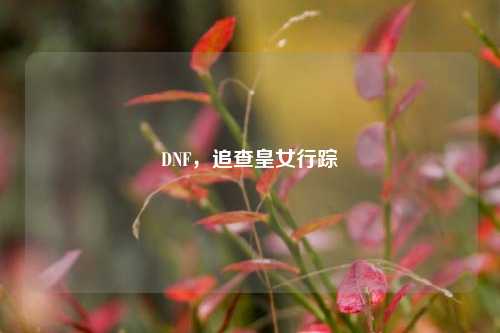 DNF,追查皇女行踪