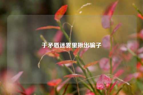 于矛盾迷雾里揪出骗子
