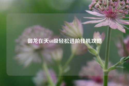 御龙在天60级轻松进阶挂机攻略
