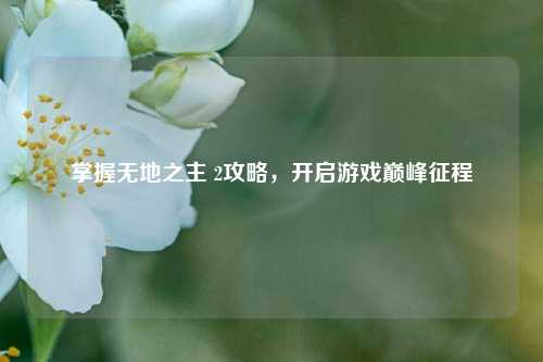 掌握无地之主 2攻略,开启游戏巅峰征程