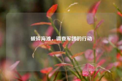 破碎海滩,调查军团的行动