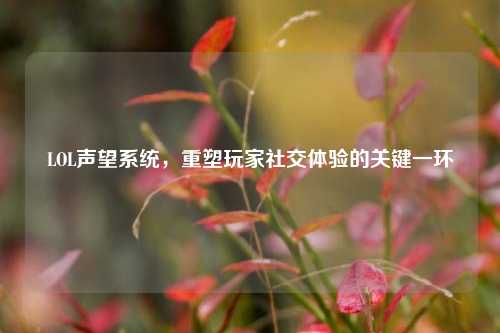LOL声望系统,重塑玩家社交体验的关键一环