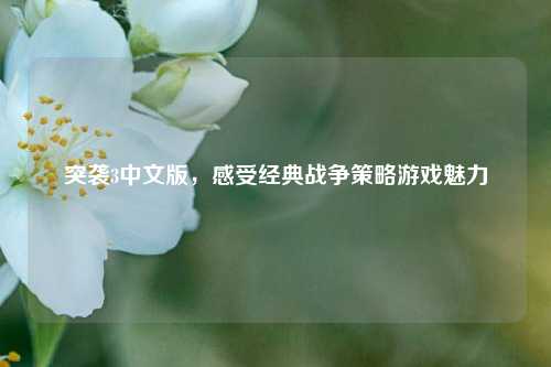 突袭3中文版，感受经典战争策略游戏魅力