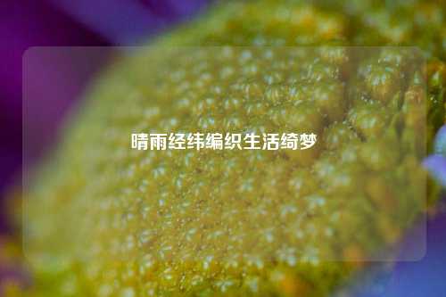 晴雨经纬编织生活绮梦