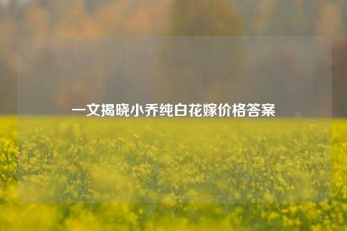 一文揭晓小乔纯白花嫁价格答案