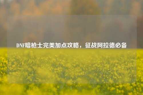 DNF暗枪士完美加点攻略，征战阿拉德必备