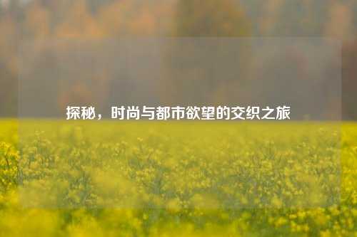 探秘,时尚与都市欲望的交织之旅