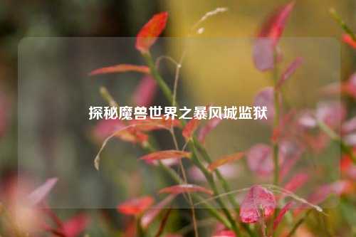 探秘魔兽世界之暴风城监狱