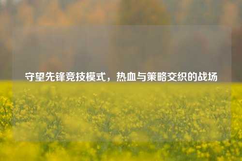 守望先锋竞技模式，热血与策略交织的战场