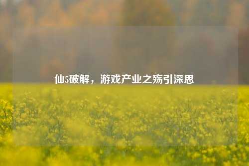 仙5破解,游戏产业之殇引深思