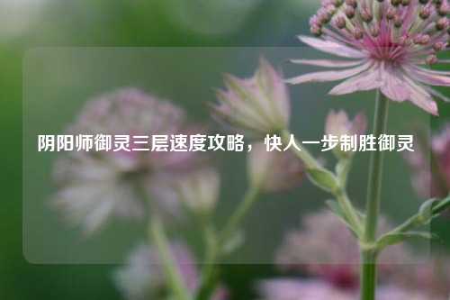 阴阳师御灵三层速度攻略,快人一步制胜御灵